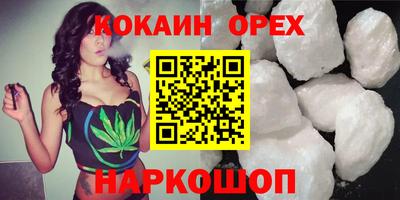 прущие грибы Комсомольск-на-Амуре