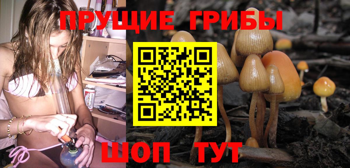 Псилоцибиновые грибы ЛСД  Вход с VPN  Югорск 